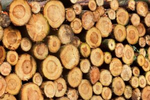 Cordwood sauna project offers cool learning opportunity